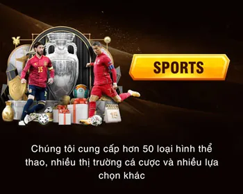 Biểu đồ phân tích dữ liệu thể thao